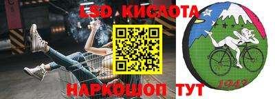 spice Кандалакша