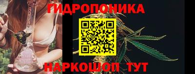 spice Кандалакша