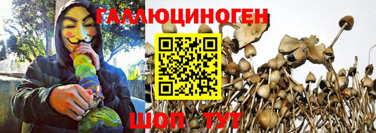 Галлюциногенные грибы Magic Shrooms  Вход с VPN  Барабинск  Галлюциногенные грибы Magic Shrooms 